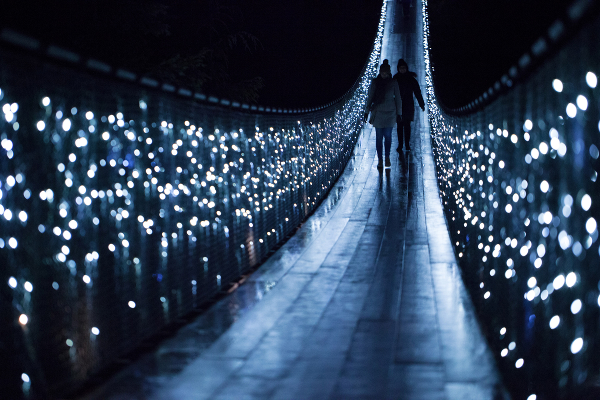 Canyon Lights | Destination Vancouver/Capilano Suspension Bridge Park