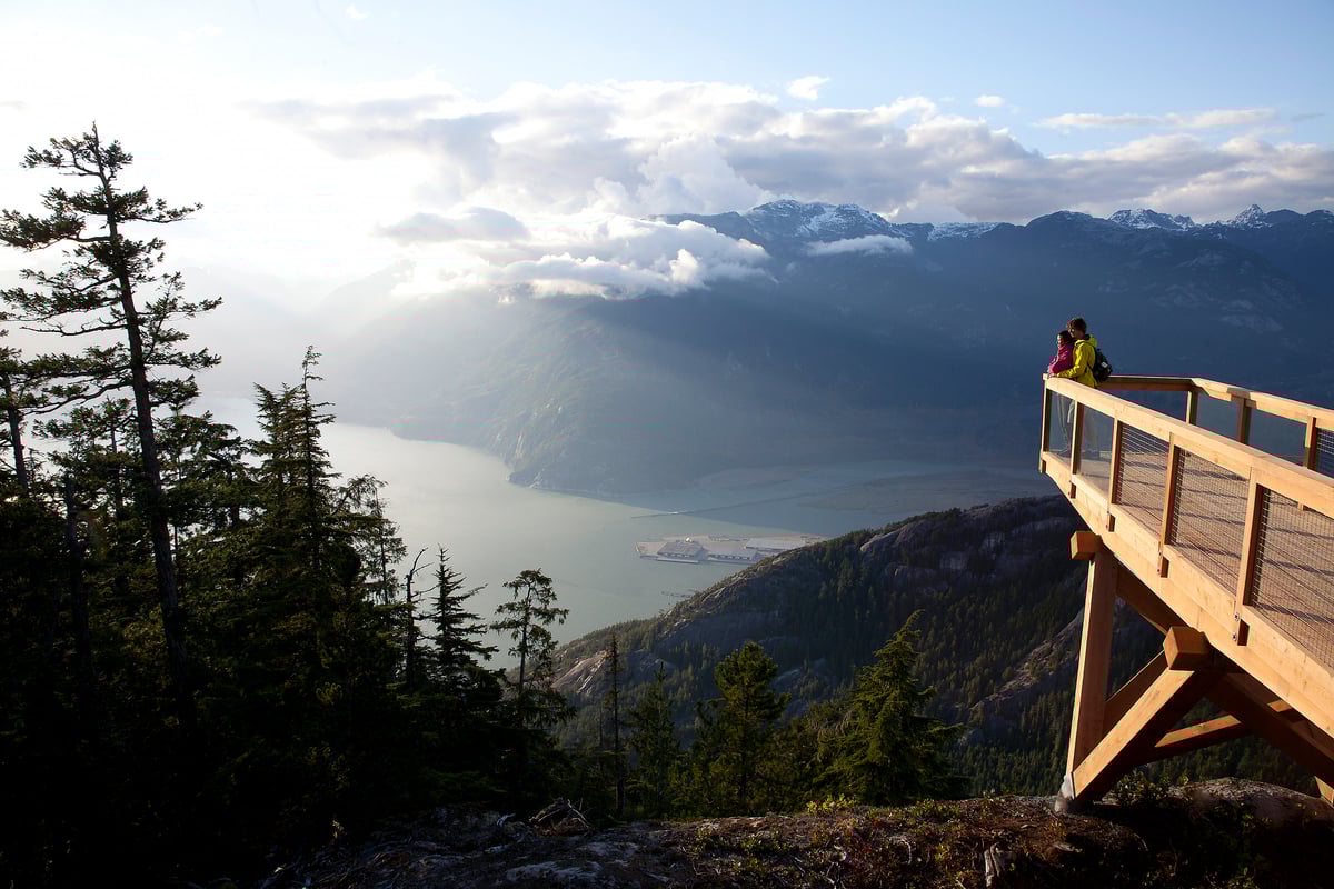 View of Howe Sound from the top of the Sea to Sky Gondola. Ocean and mountains are in the distance, and evergreen trees are in the foreground.