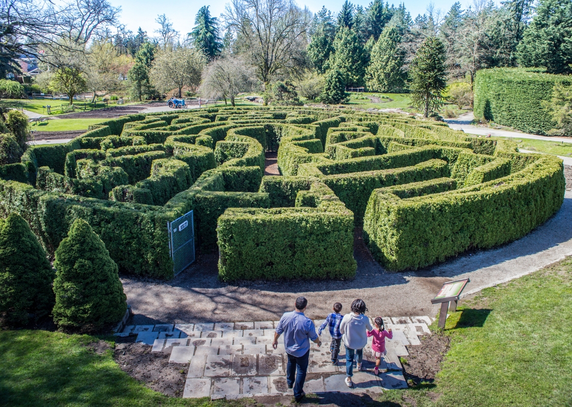 Luftaufnahme eines kreisförmigen Heckenlabyrinths. Man sieht eine Familie, die sich auf den Eingang des Labyrinths zubewegt.