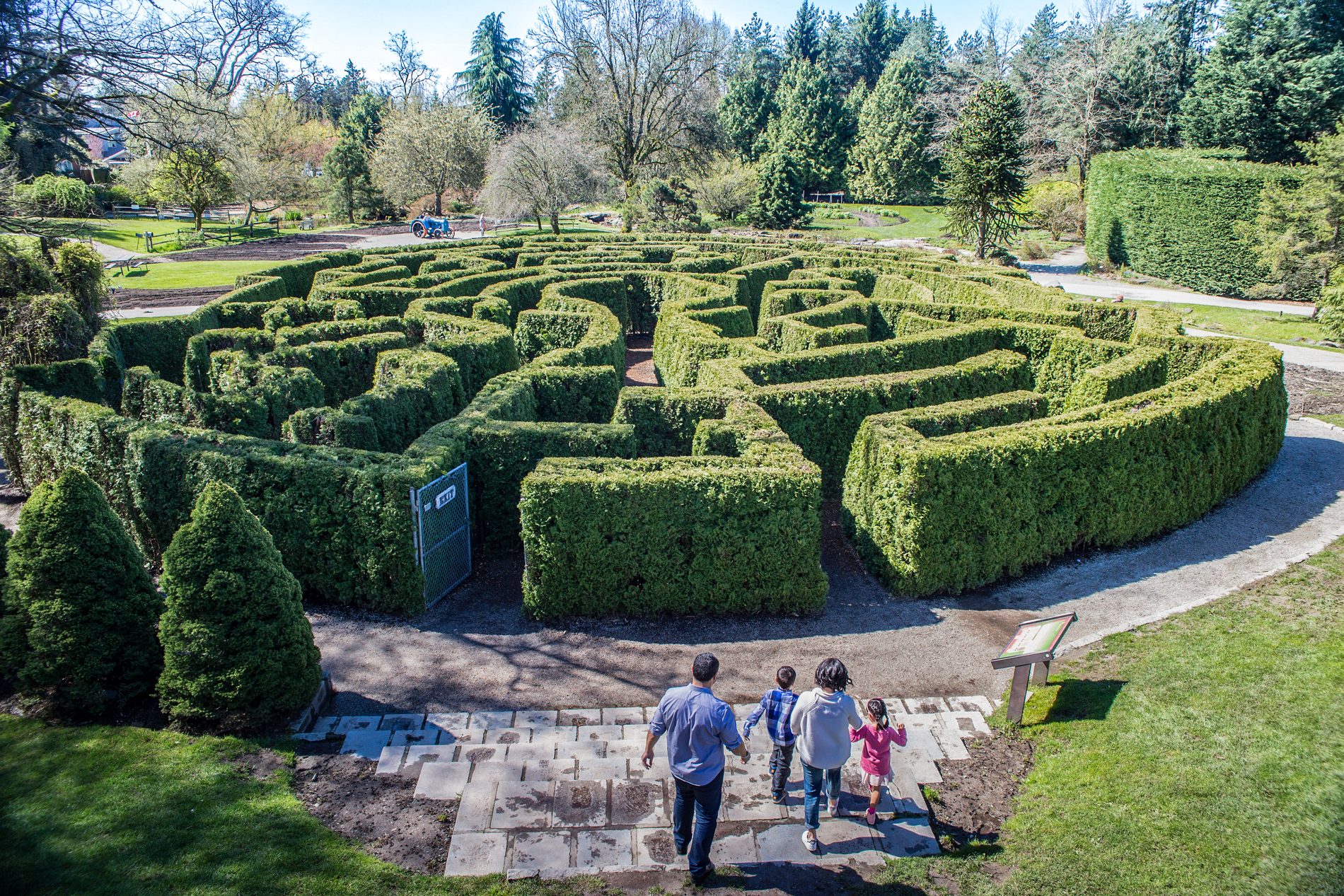 Aerial view of a circular hedge maze. A family can be seen heading toward the entrance to the maze.