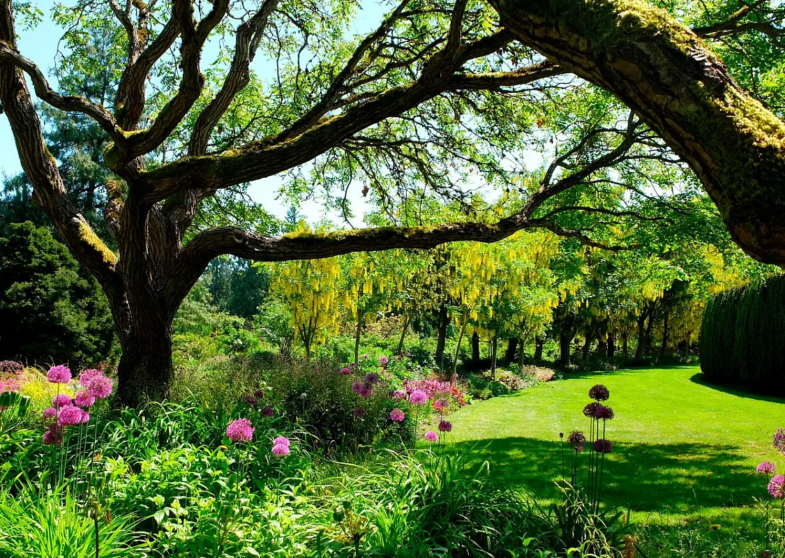 Jardín Botánico VanDusen | Turismo Vancouver/Jardines VanDusen