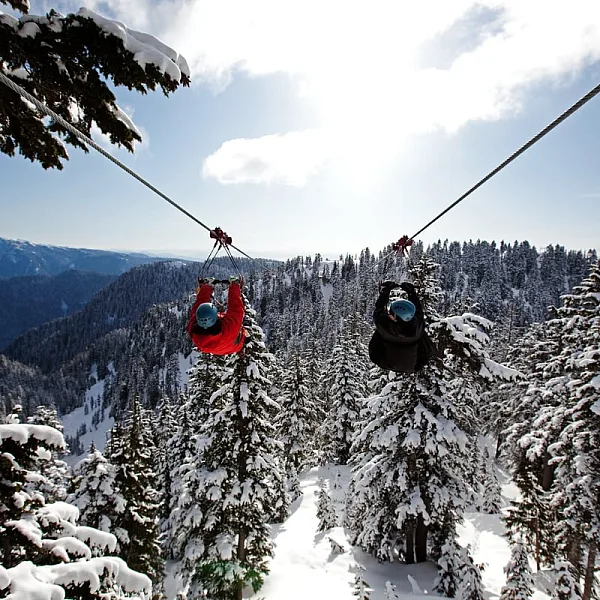 Grouse Mountain