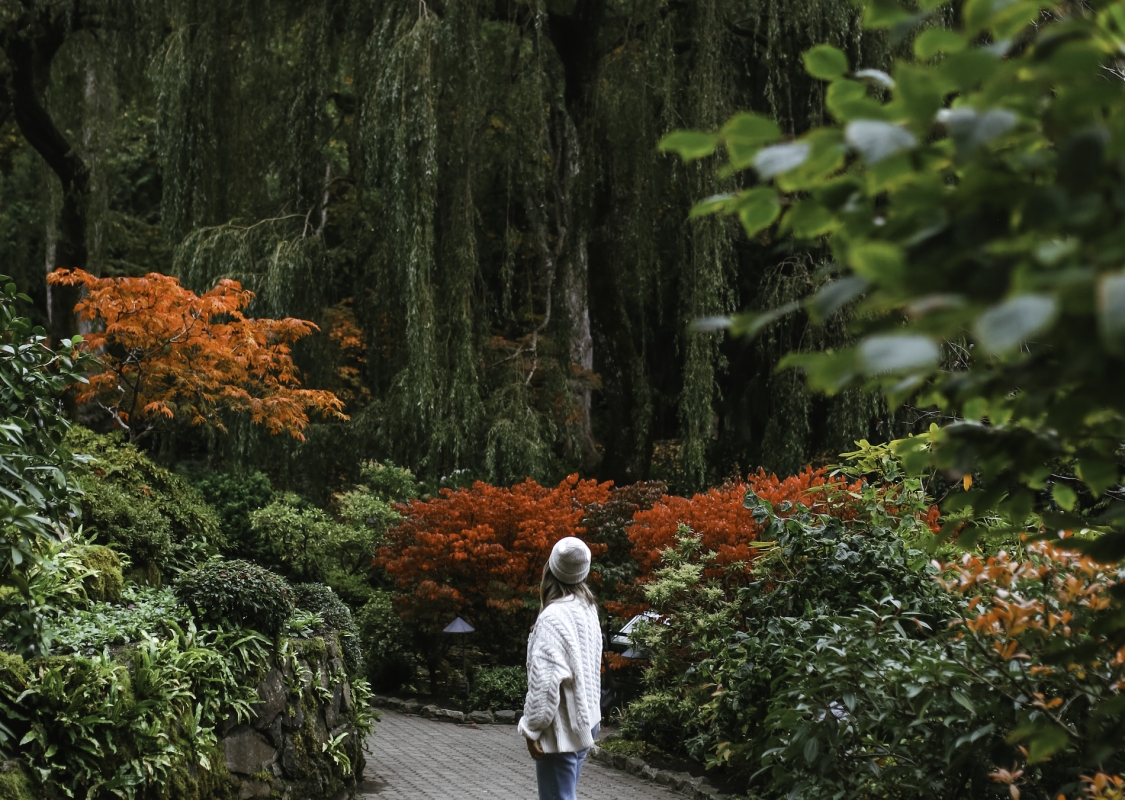 A person standing in a garden