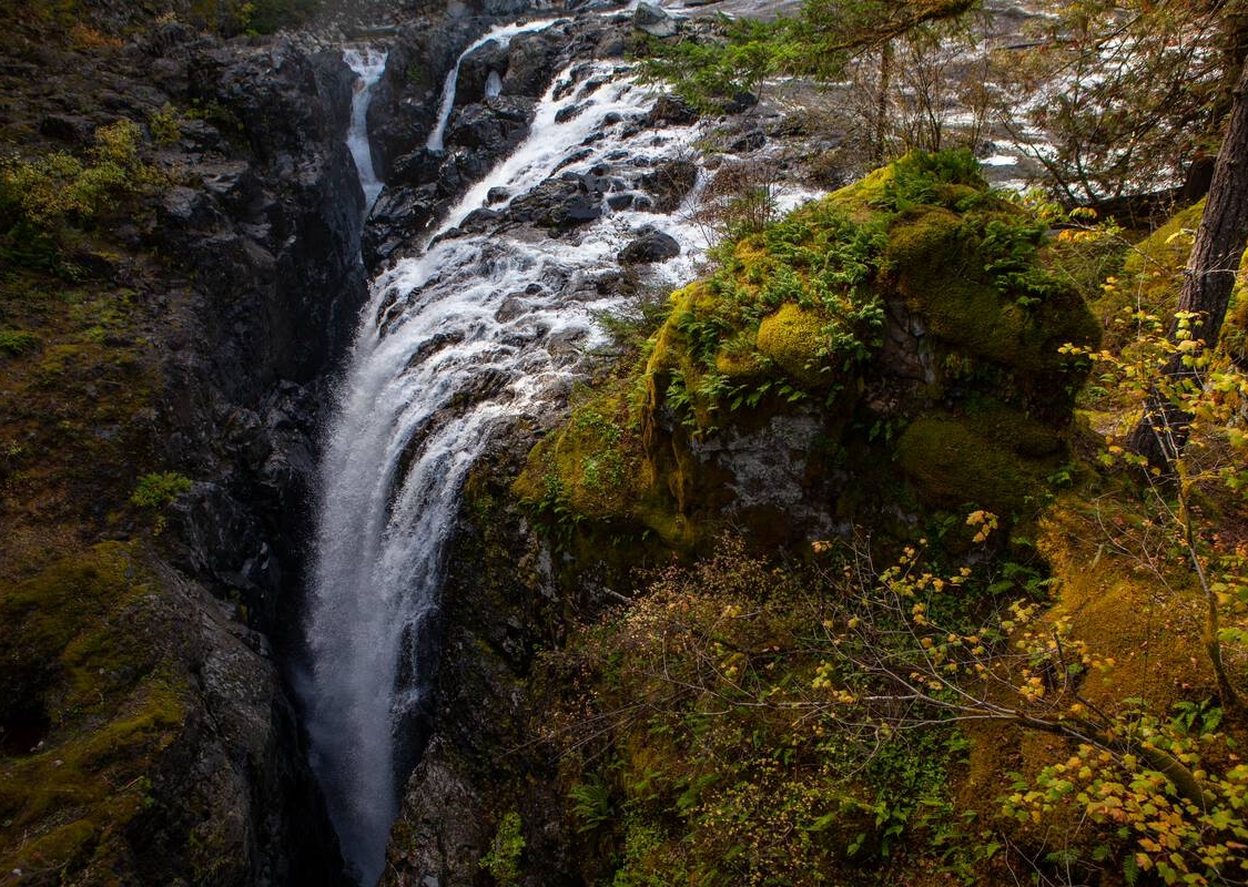 Aerial view of Englishman River Falls on Vancouver Island in the fall. Green trees surround the waterfall as it plunges down below.