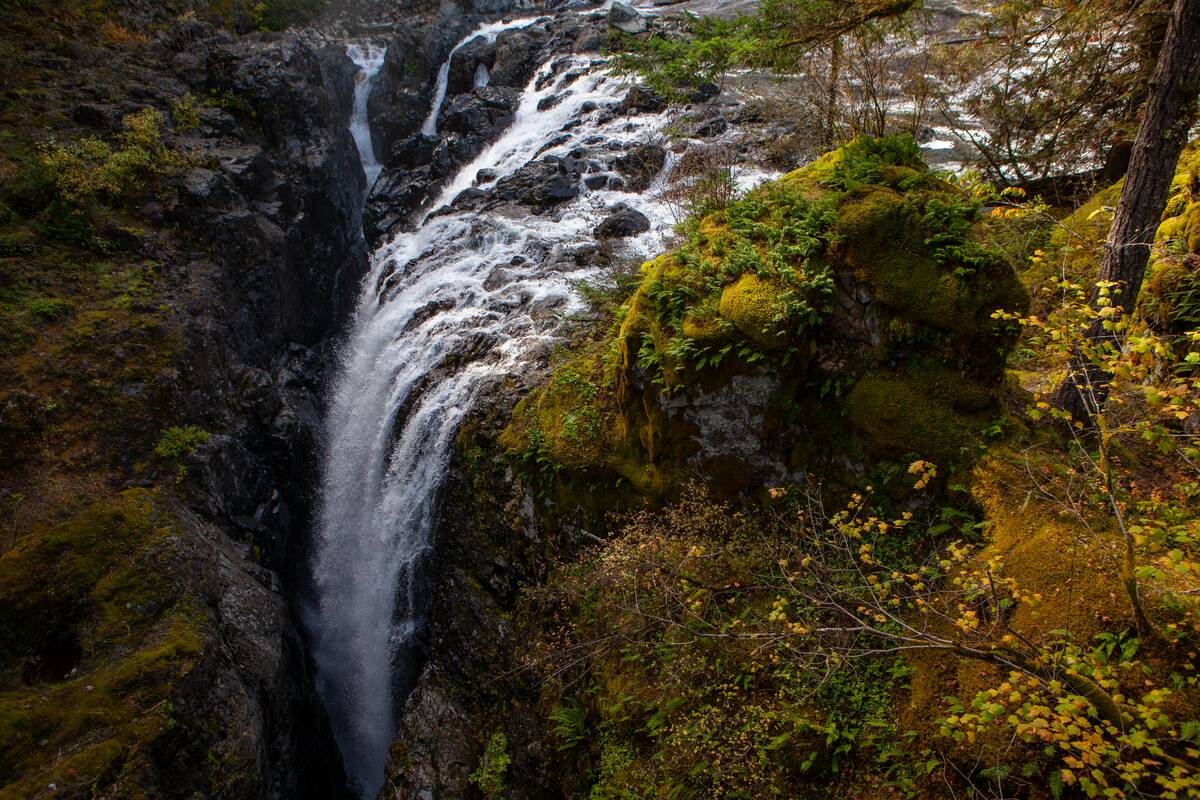 Aerial view of Englishman River Falls on Vancouver Island in the fall. Green trees surround the waterfall as it plunges down below.