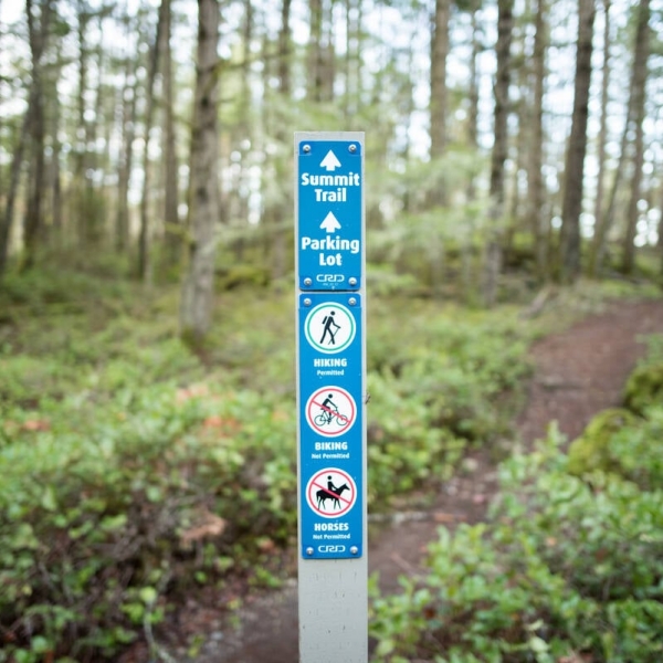 Una señal azul que indica Summit Trail se encuentra a lo largo de un camino de tierra en el bosque.