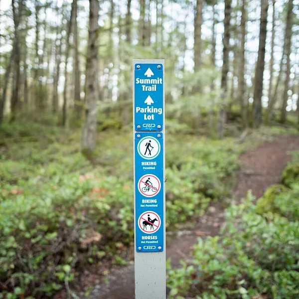 Ein blaues Schild mit der Aufschrift „Summit Trail“ steht an einem Feldweg im Wald.