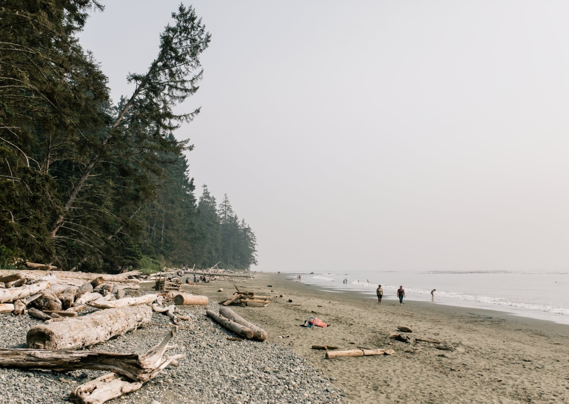 In the distance people walk along an ocean front beach on an overcast day. Several old logs are washed up on the rocky shore.