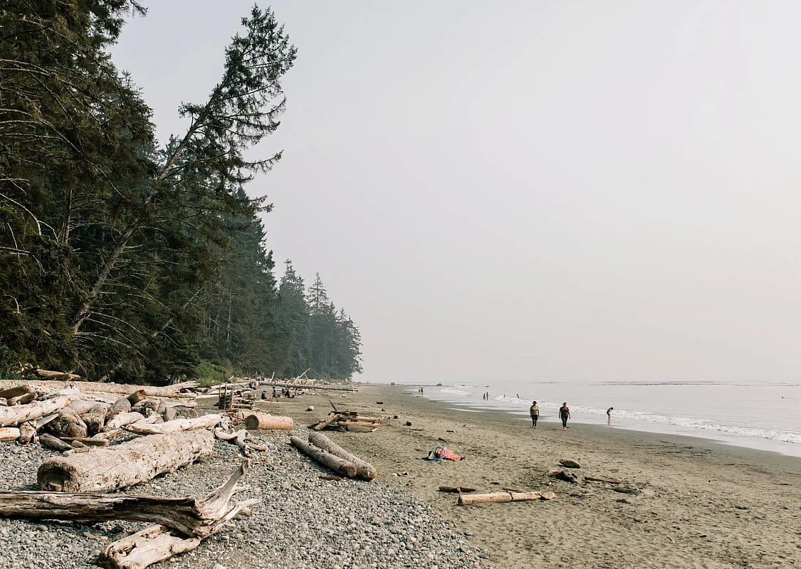 In the distance people walk along an ocean front beach on an overcast day. Several old logs are washed up on the rocky shore.