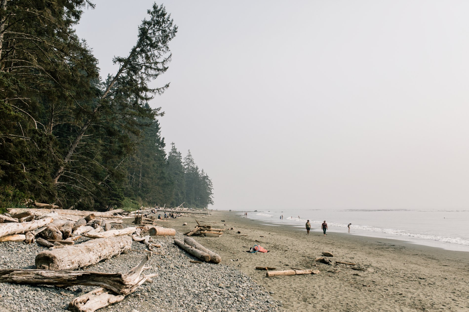 In the distance people walk along an ocean front beach on an overcast day. Several old logs are washed up on the rocky shore.