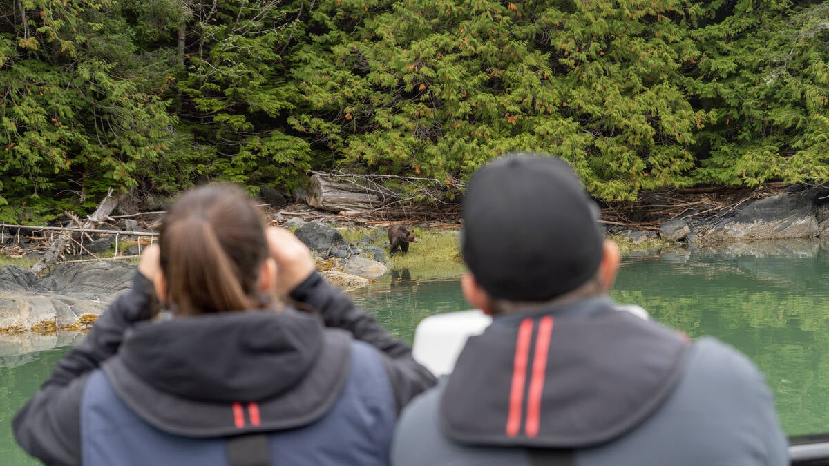 Two people wearing hooded black jackets look toward shore from a boat, the person on the left peering through binoculars. On shore, a bear stands near the grassy shoreline with the forest behind.