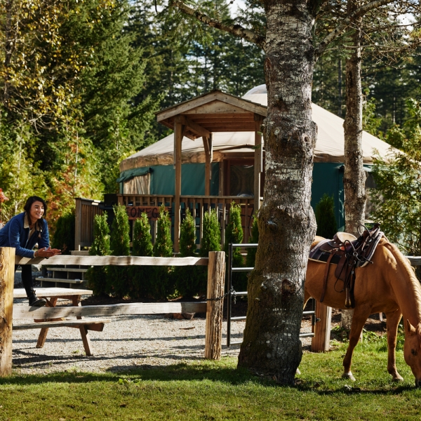 Couple standing near a horse outside the yurts at Cheekye Ranch. The horse is eating grass in a field and the couple is behind a wooden fence.