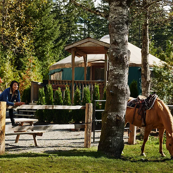 Couple standing near a horse outside the yurts at Cheekye Ranch. The horse is eating grass in a field and the couple is behind a wooden fence.