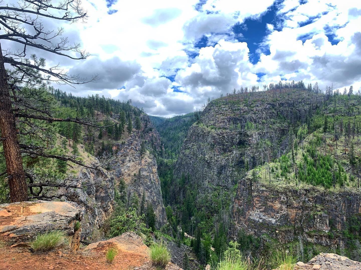 A mountain look out at Myra-Bellevue park.