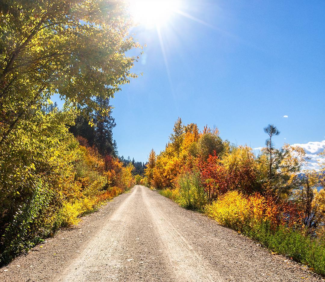 A path through wide open trees in the fall near Wood Lake in the Okanagan