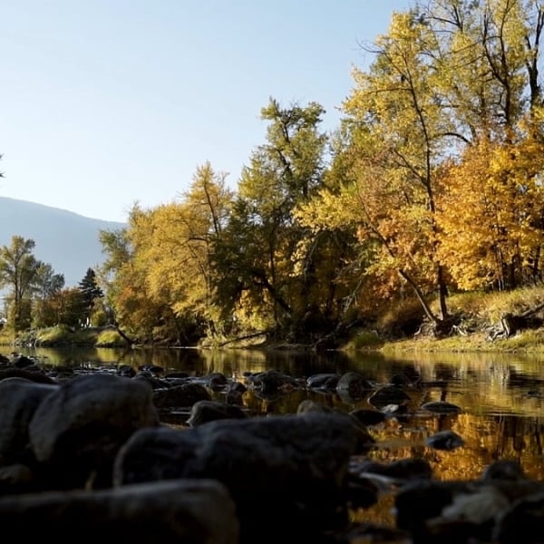 A person stands on a rocky shoreline of a river. Trees in shades of yellow and green line the banks.
