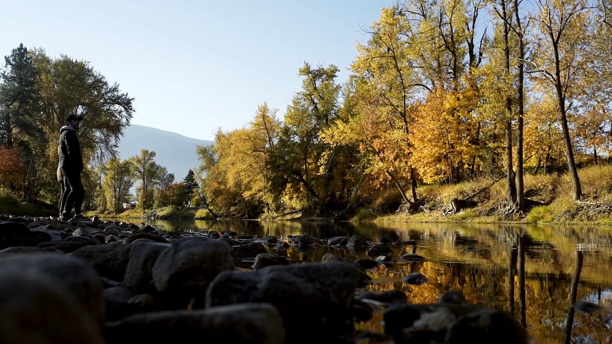 A person stands on a rocky shoreline of a river. Trees in shades of yellow and green line the banks.