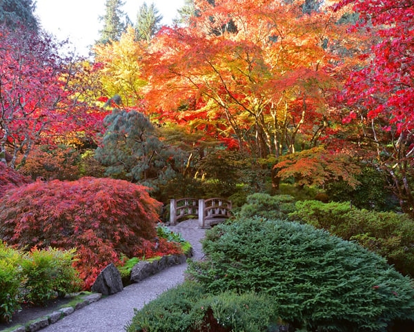 Enjoying the radiant fall colours, The Butchart Gardens