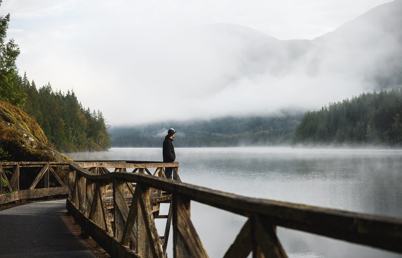 Ein Moment der Besinnung an einem nebligen Morgen entlang des Sunshine Coast Trail im Inland Lake Provincial Park, BC.