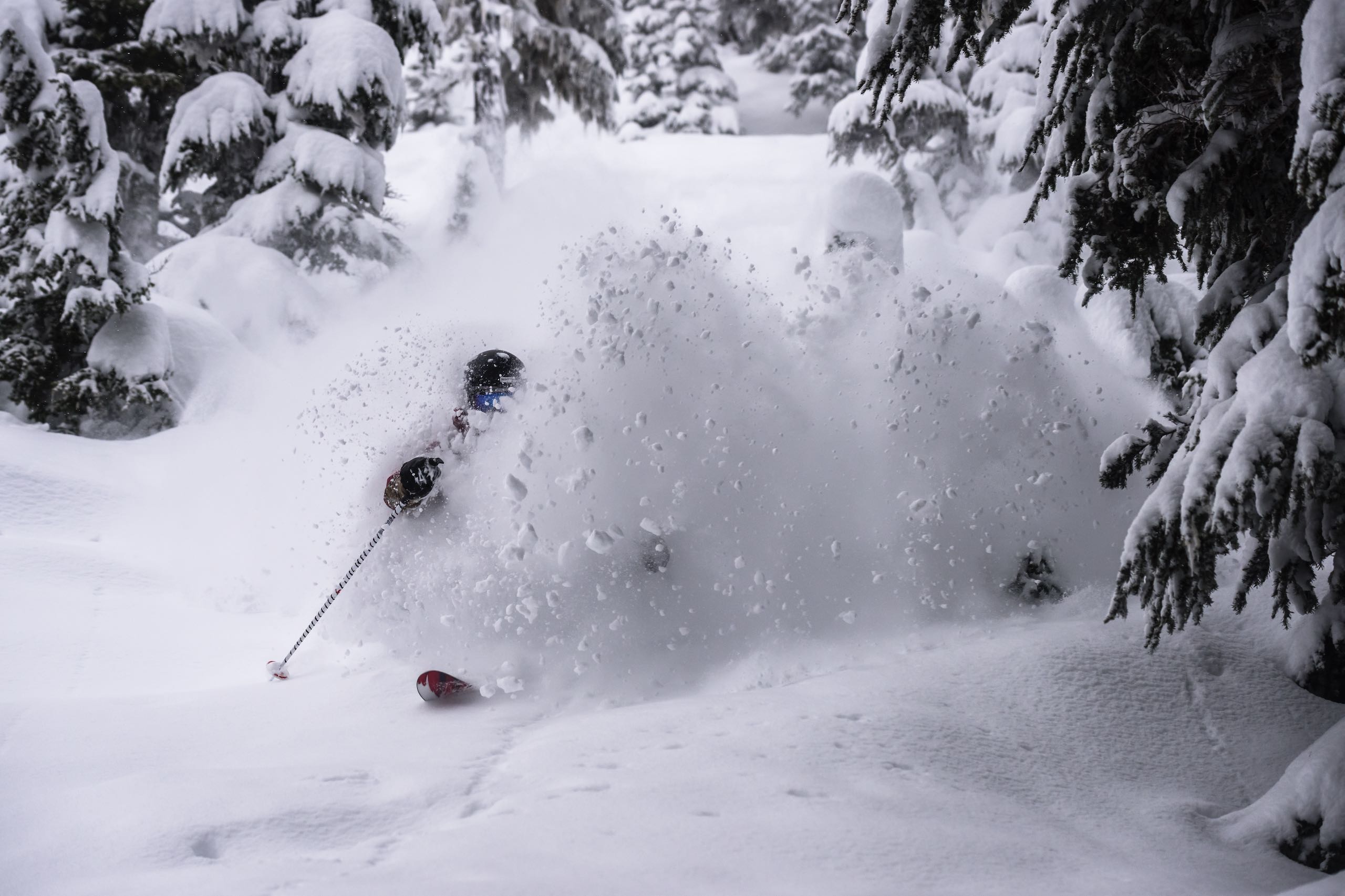Person skiing