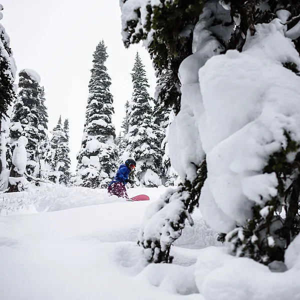 Snowboarder at Powder King Mountain Resort