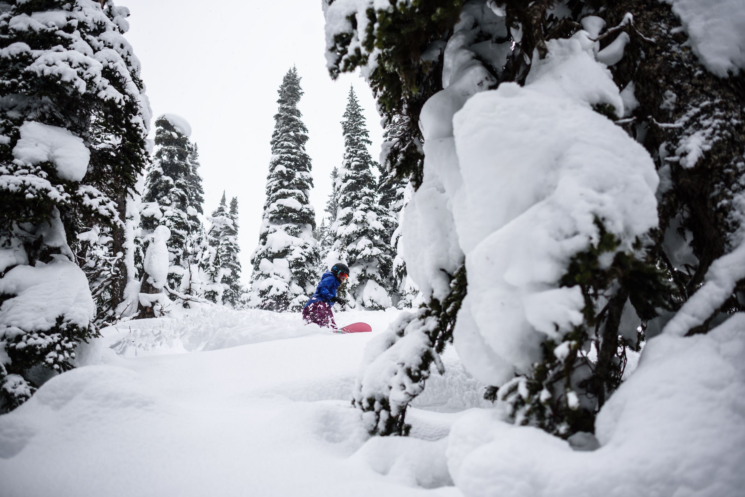 Snowboarder at Powder King Mountain Resort