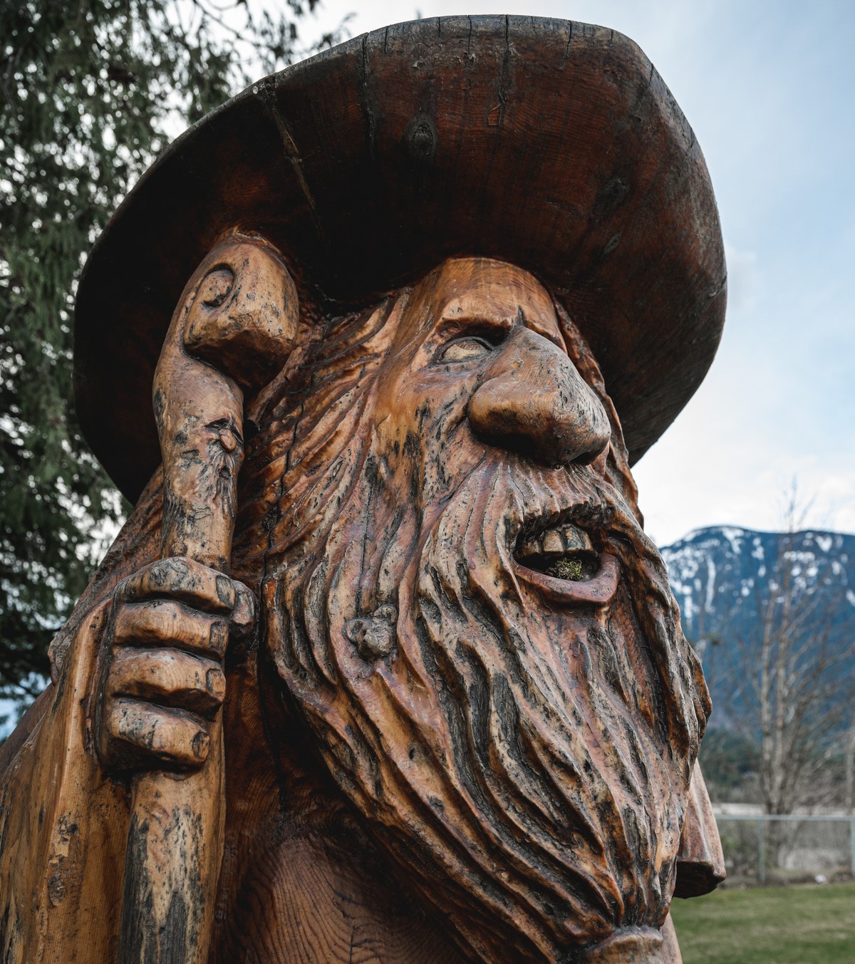 Wood carving in Hope