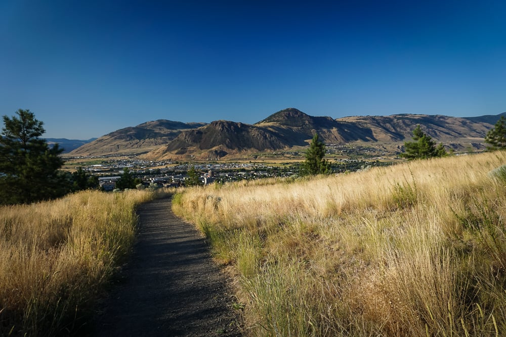 A trail through the Grasslands on a clear blue sky day. Mountains are seen in the distance.