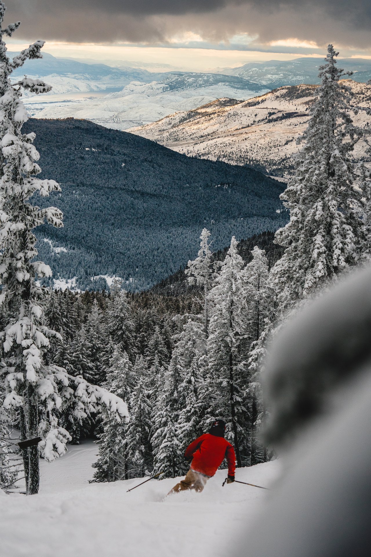 Downhill skier descending through the trees at Harper Mountain near Kamloops | Dylan Sherrard
