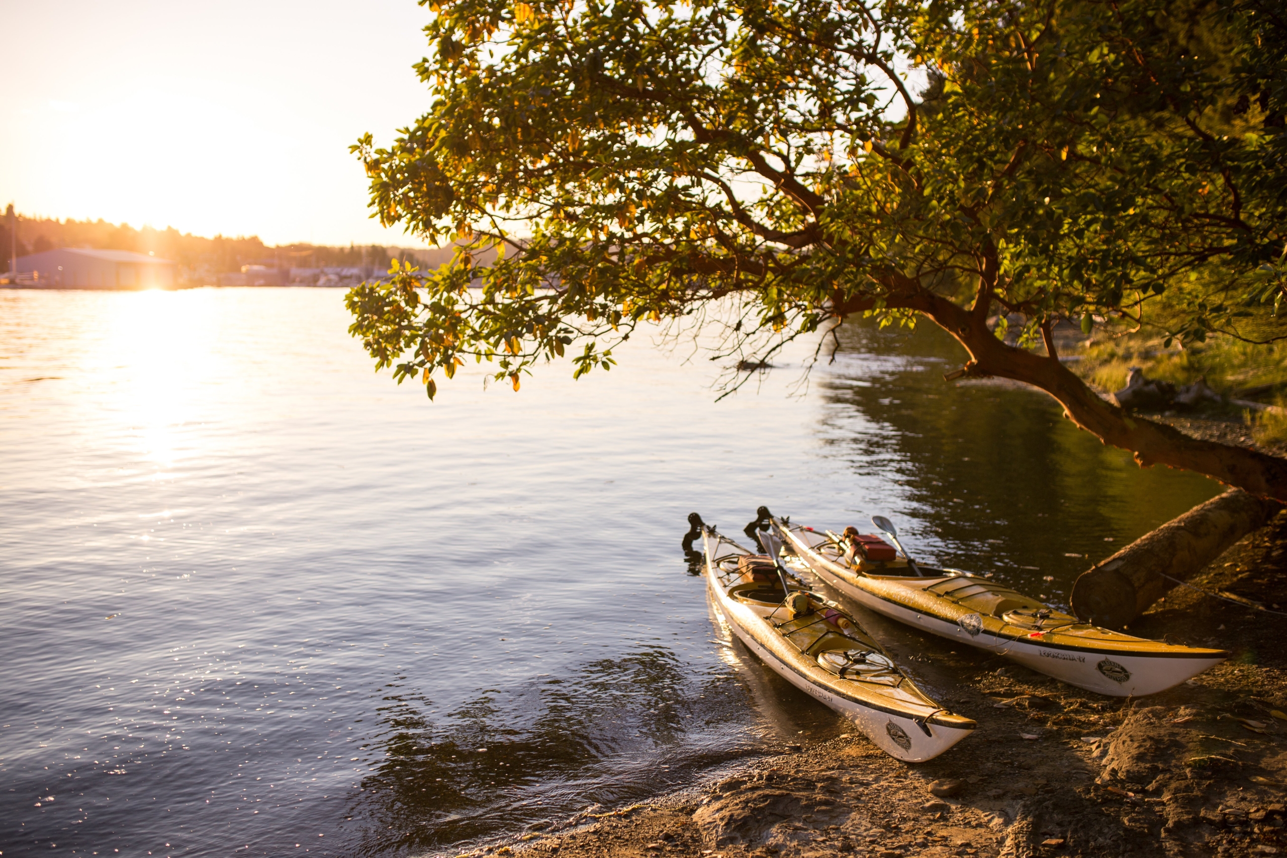 Kayaks on beach Nanaimo Harbour