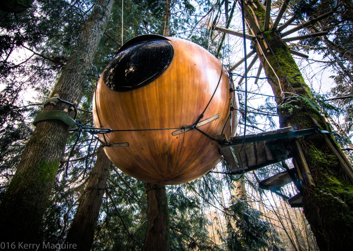 A Free Spirit Sphere hoisted up and held between trees. The sphere is yellow in colour and has one circular window in the centre.