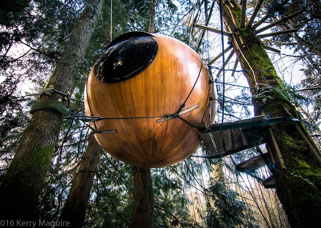 A Free Spirit Sphere hoisted up and held between trees. The sphere is yellow in colour and has one circular window in the centre.