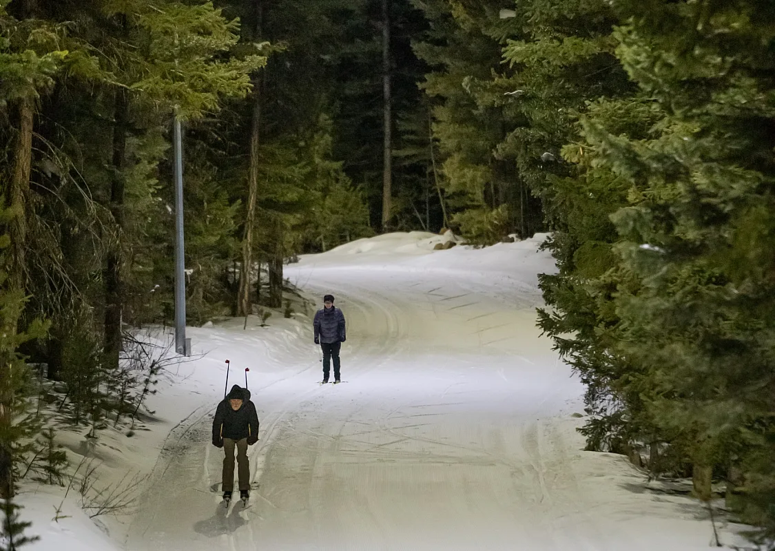 Zwei Nachtskifahrer auf einer Langlaufloipe im Wald