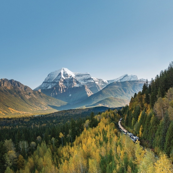 Aerial view of a train making its way along the side of a forested mountain, heading toward the camera. In the distance are snow-covered mountain peaks.