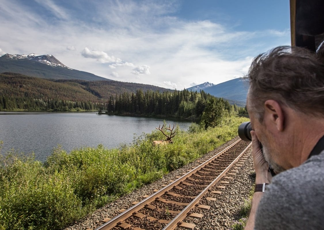 The left side of someone's face leans out from the train pointing a camera at what looks like an elk on the shore of a lake surrounded by trees and mountains.