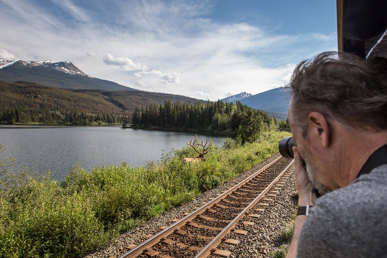 The left side of someone's face leans out from the train pointing a camera at what looks like an elk on the shore of a lake surrounded by trees and mountains.