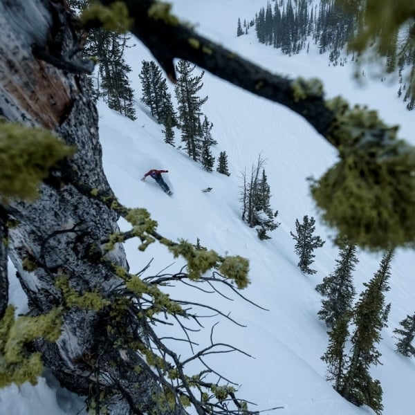 Kicking Horse Mountain Resort in the Purcells