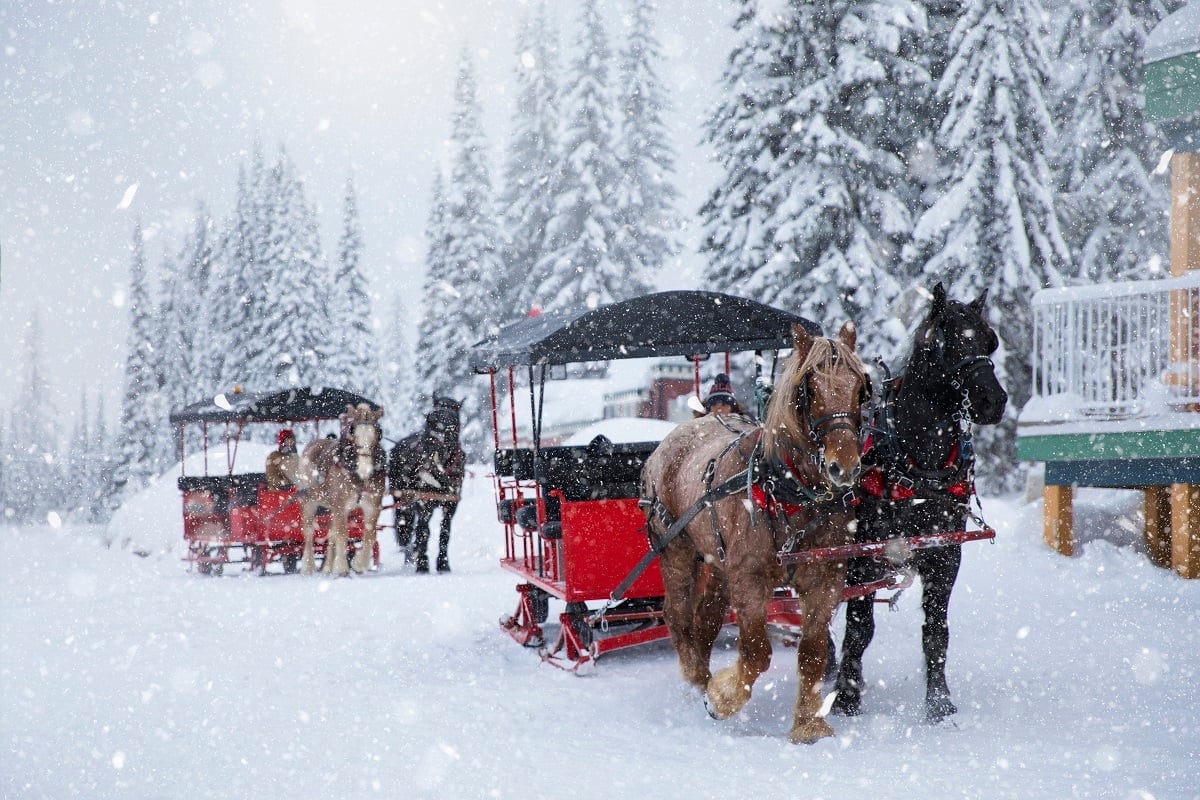 SilverStar Mountain Resort