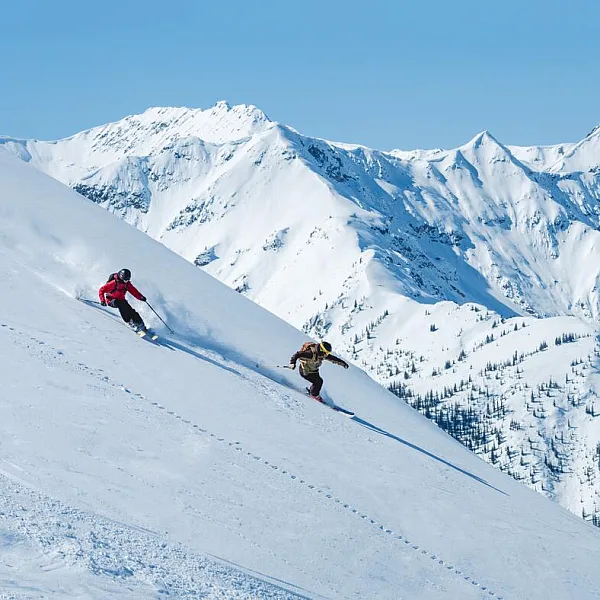 Two skiers carving through powder under bluebird conditions at Kicking Horse Mountain Resort near Golden.