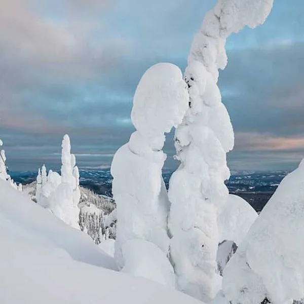 Un esquiador se desliza por nieve en polvo con árboles cubiertos de nieve que parecen fantasmas de nieve.