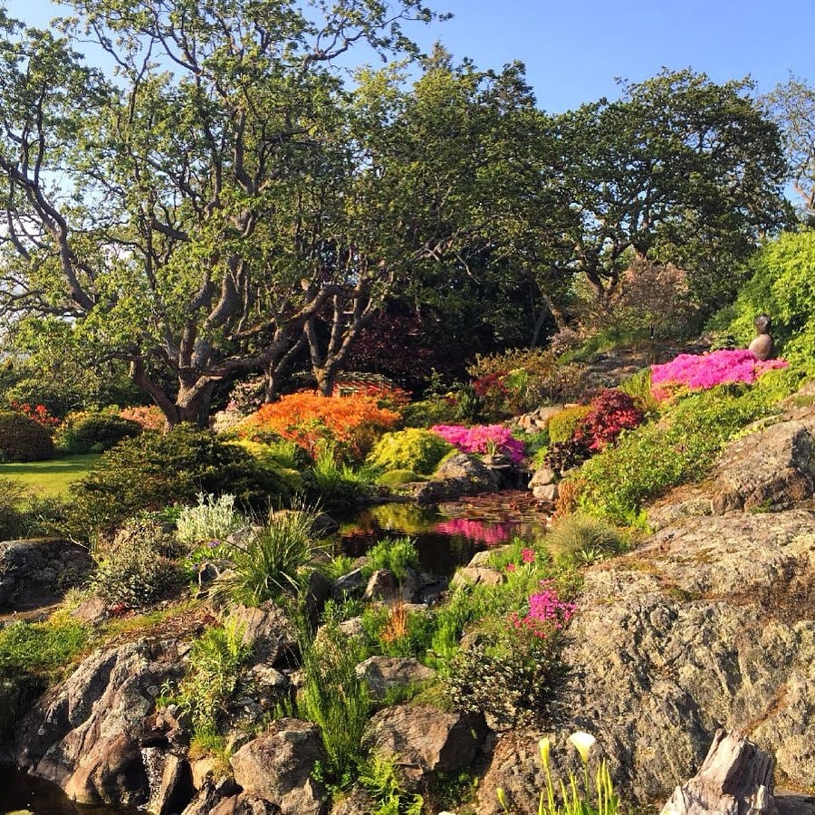 Spring blooms in shades of pink grow out of a rocky outcropping
