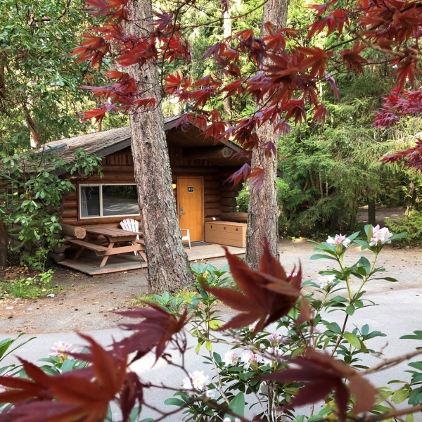 A cabin at the Tigh-Na-Mara resort. There is a picnic table on the patio and trees surrounding the wooden cabin.