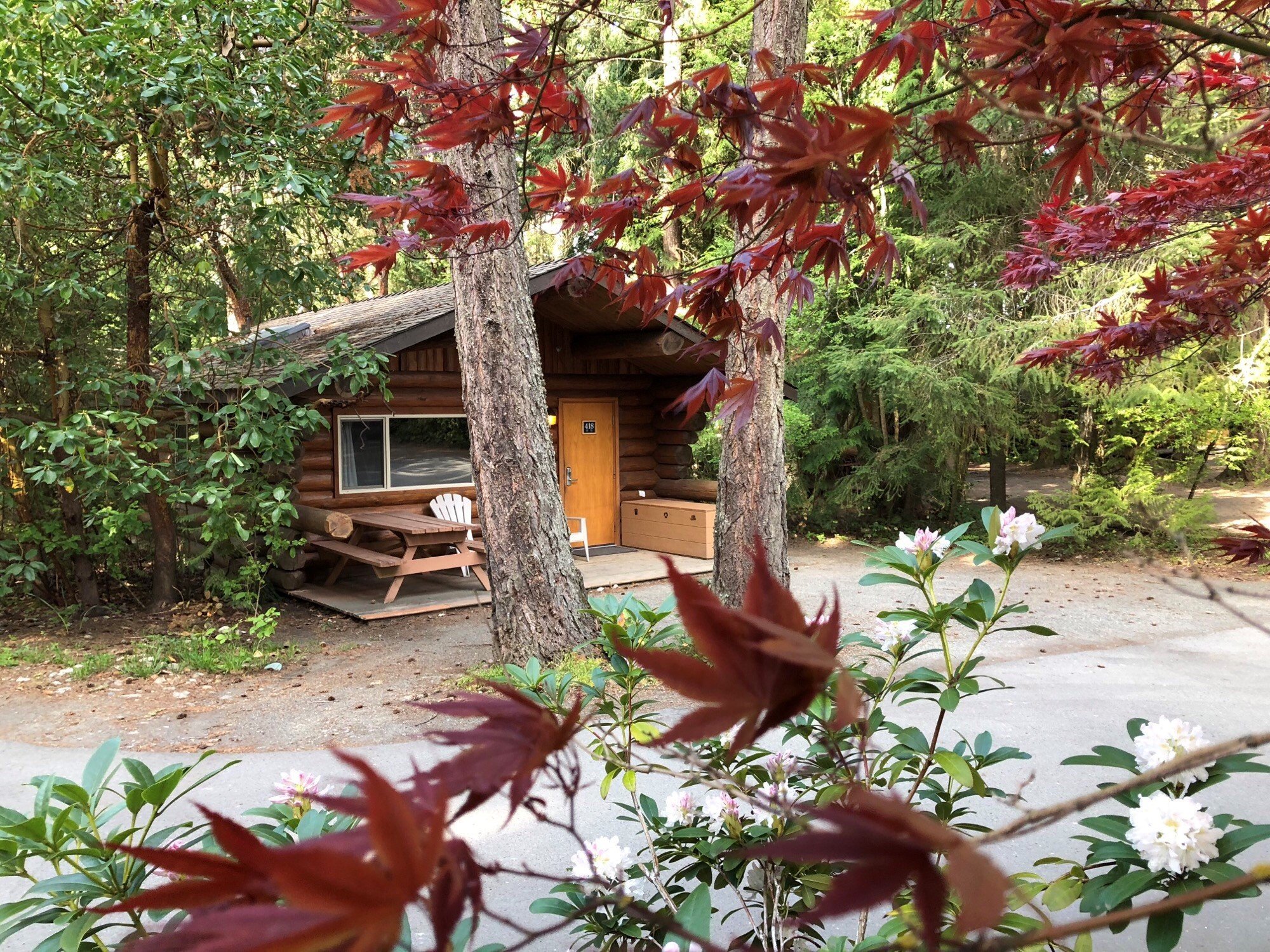 A cabin at the Tigh-Na-Mara resort. There is a picnic table on the patio and trees surrounding the wooden cabin.
