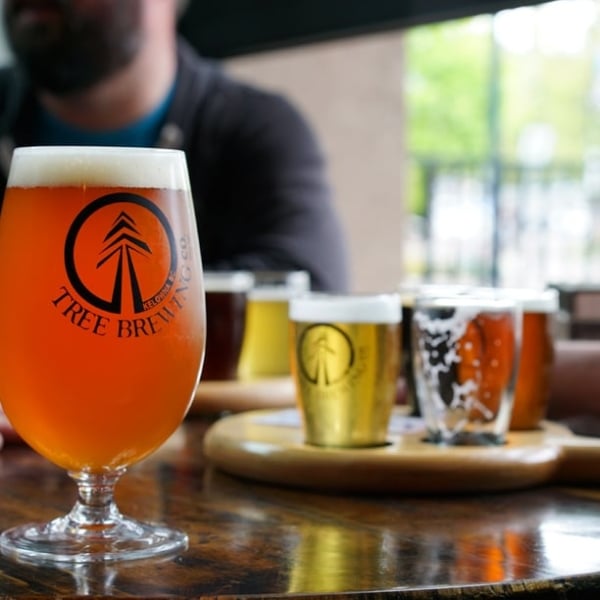 A close up of a beer in a glass at Tree Brewing. A person sits in a both in the background. Several small glasses of beer are arranged on the table.