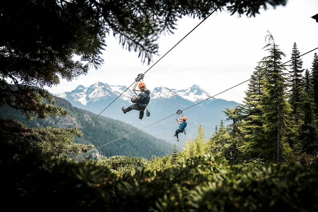 Two people are ziplining at Superfly Ziplines in Whistler. The lines are parallel to one another. Green trees are below them and views of Whistler mountain are in the distance.