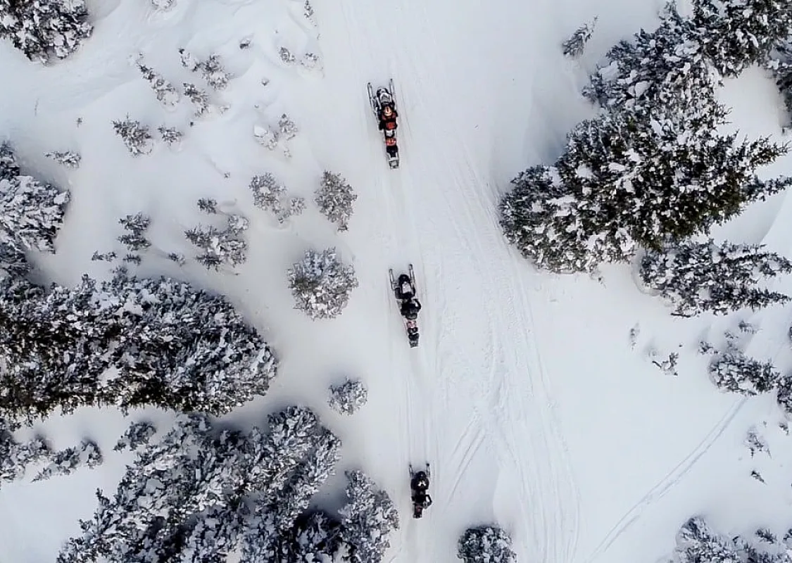 Luftaufnahme von drei Personen beim Schneemobilfahren durch eine Winterlandschaft zwischen Bäumen