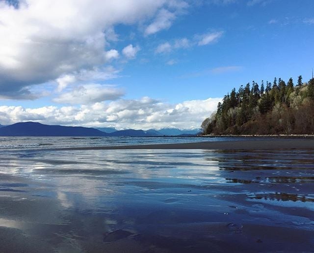 The tide is out and the wet sand stretches into the distance. There are fluffy white clouds in the light blue sky with a forested outcropping on the right side of the frame.