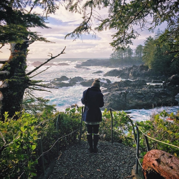 A person looks out at the ocean from a lookout on the Wild Pacific Trail