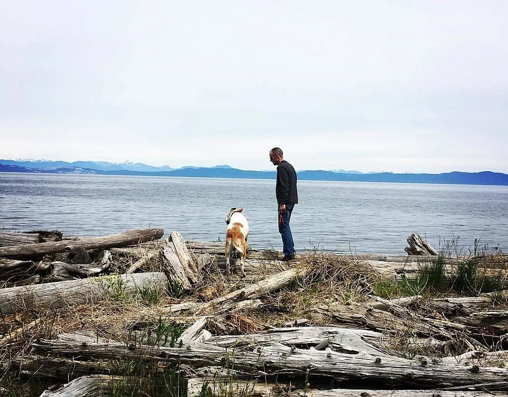 A man and his dog play at a log-covered beach in the Comox Valley. The sky is overcast, and mountains are seen in the fast distance.