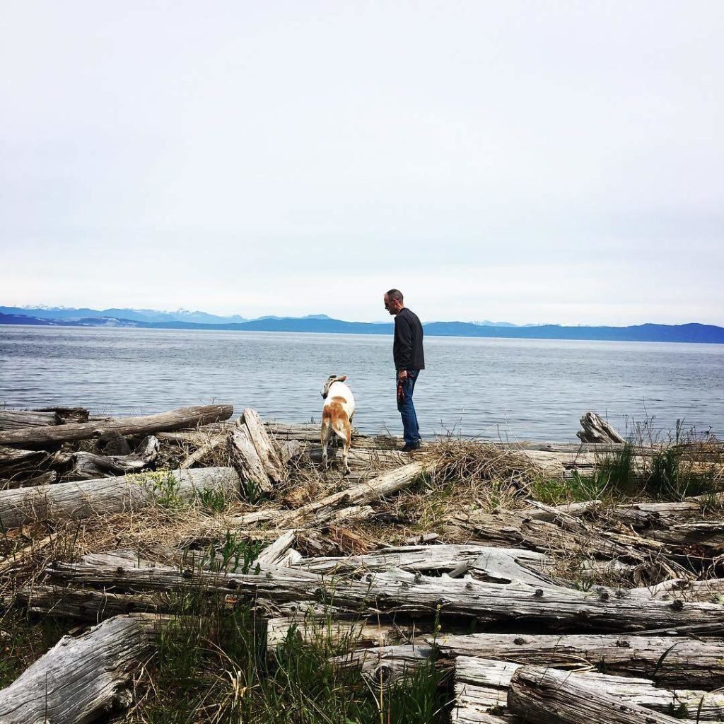 A man and his dog play at a log-covered beach in the Comox Valley. The sky is overcast, and mountains are seen in the fast distance.
